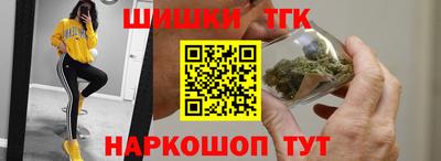 МДПВ Пенза