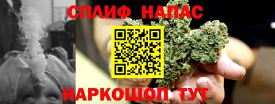 винт Партизанск