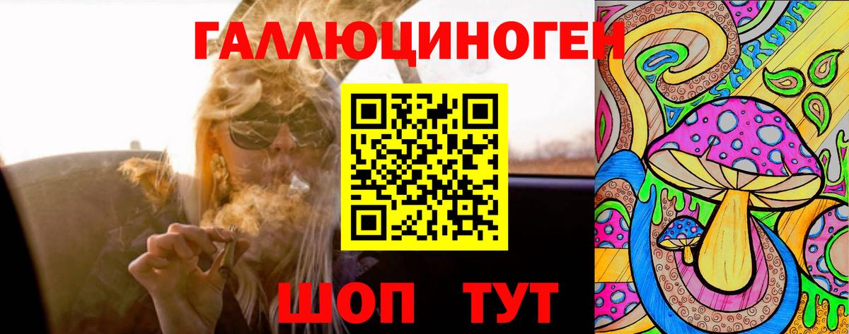 Орёл  Псилоцибиновые грибы Cubensis  Вход с VPN  Галлюциногенные грибы GOLDEN TEACHER 