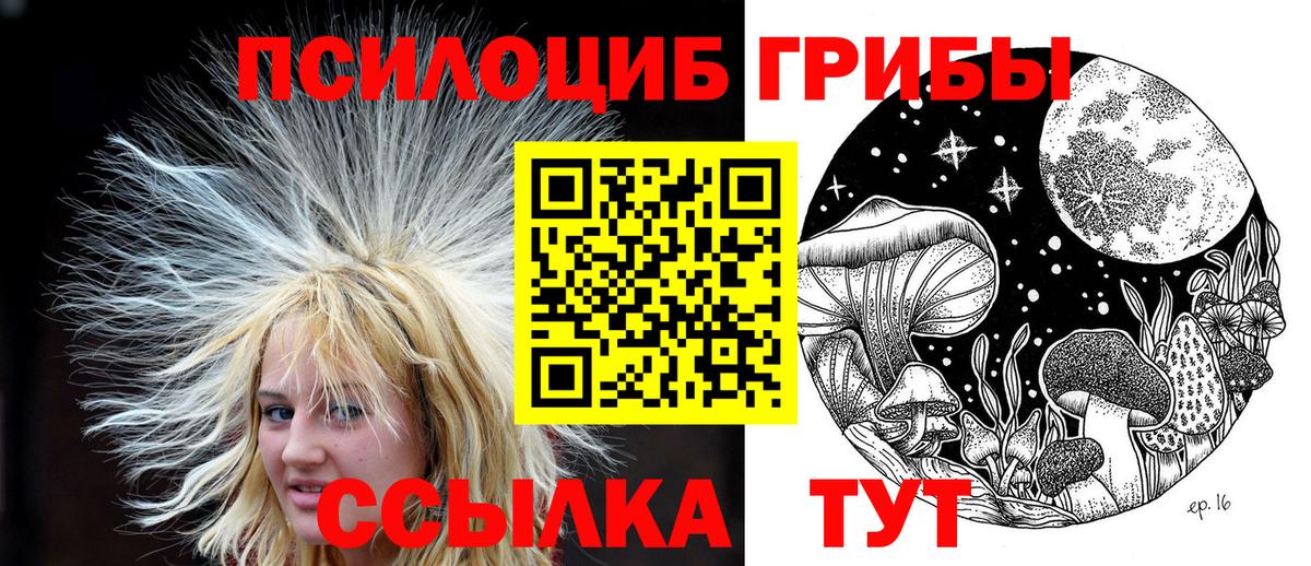 Галлюциногенные грибы Psilocybe Орёл